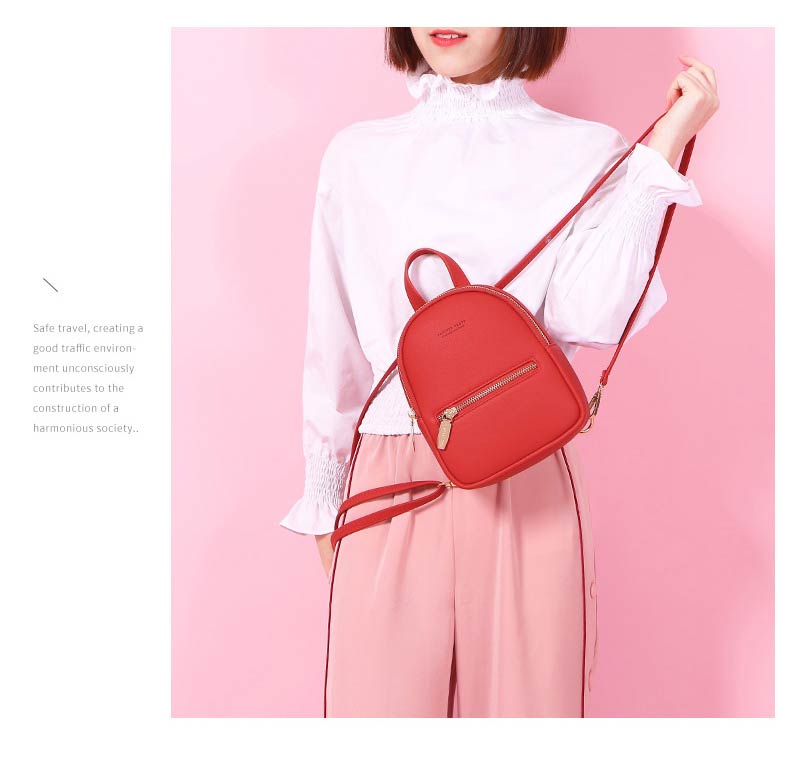 Mini Backpack D895-1