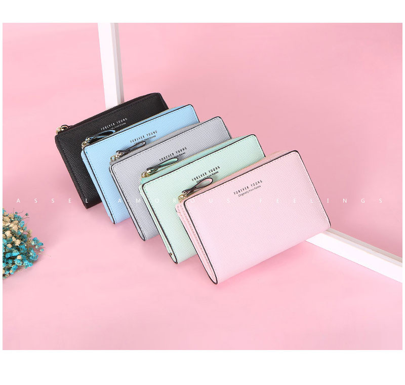 Ladies Fashion Wallet B367-1