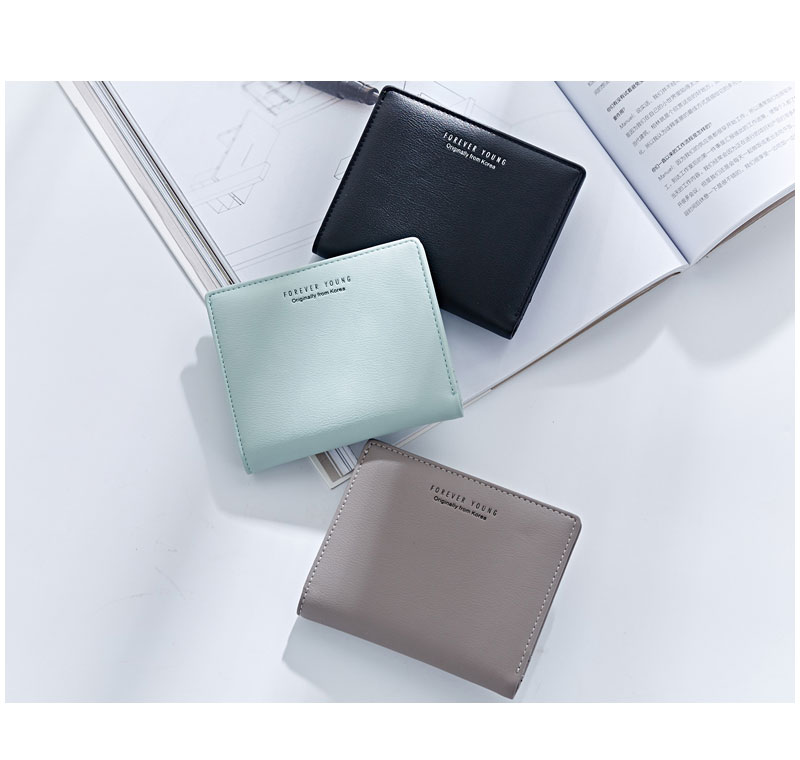Ladies Fashion Wallet P5910-1