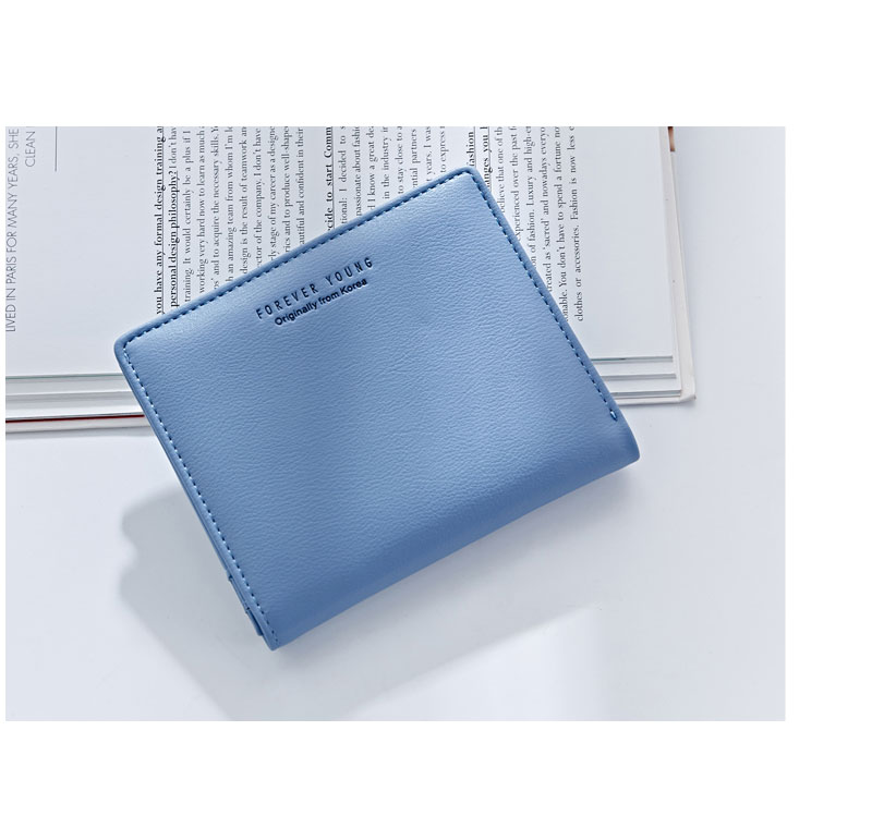 Ladies Fashion Wallet P5910-1