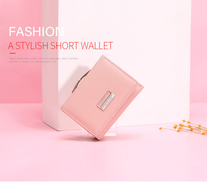 Ladies Fashion Wallet B7561-31
