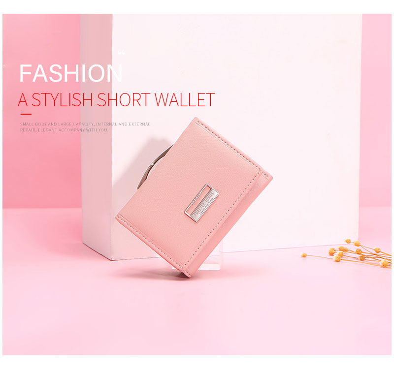 Ladies Fashion Wallet B7561-31
