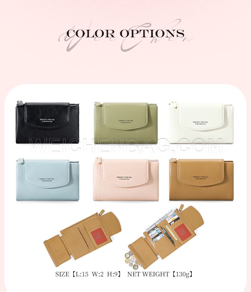 Ladies Long Purse 6431-001Y