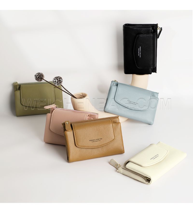 Ladies Long Purse 6431-001Y