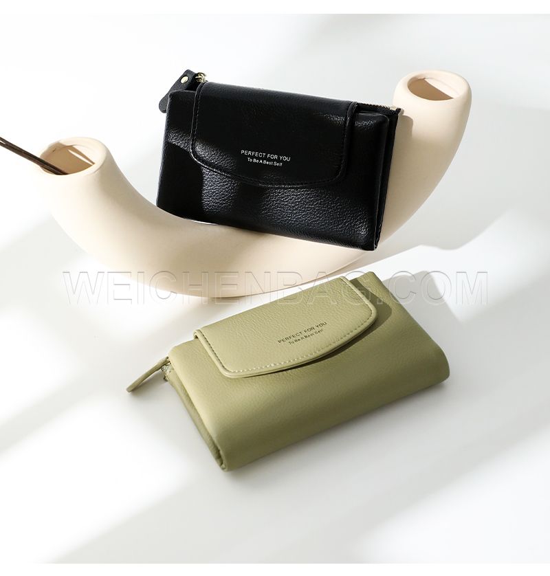 Ladies Long Purse 6431-001Y