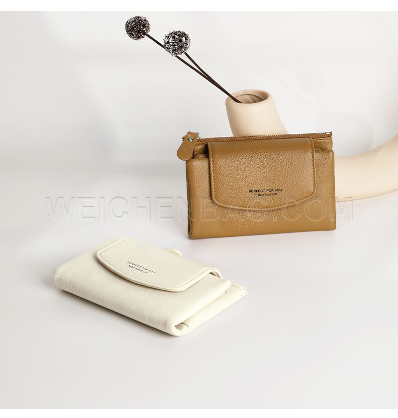 Ladies Long Purse 6431-001Y