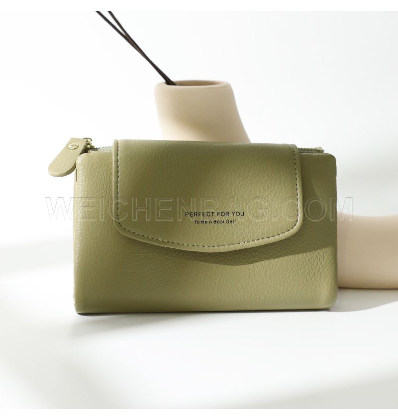 Ladies Long Purse 6431-001Y